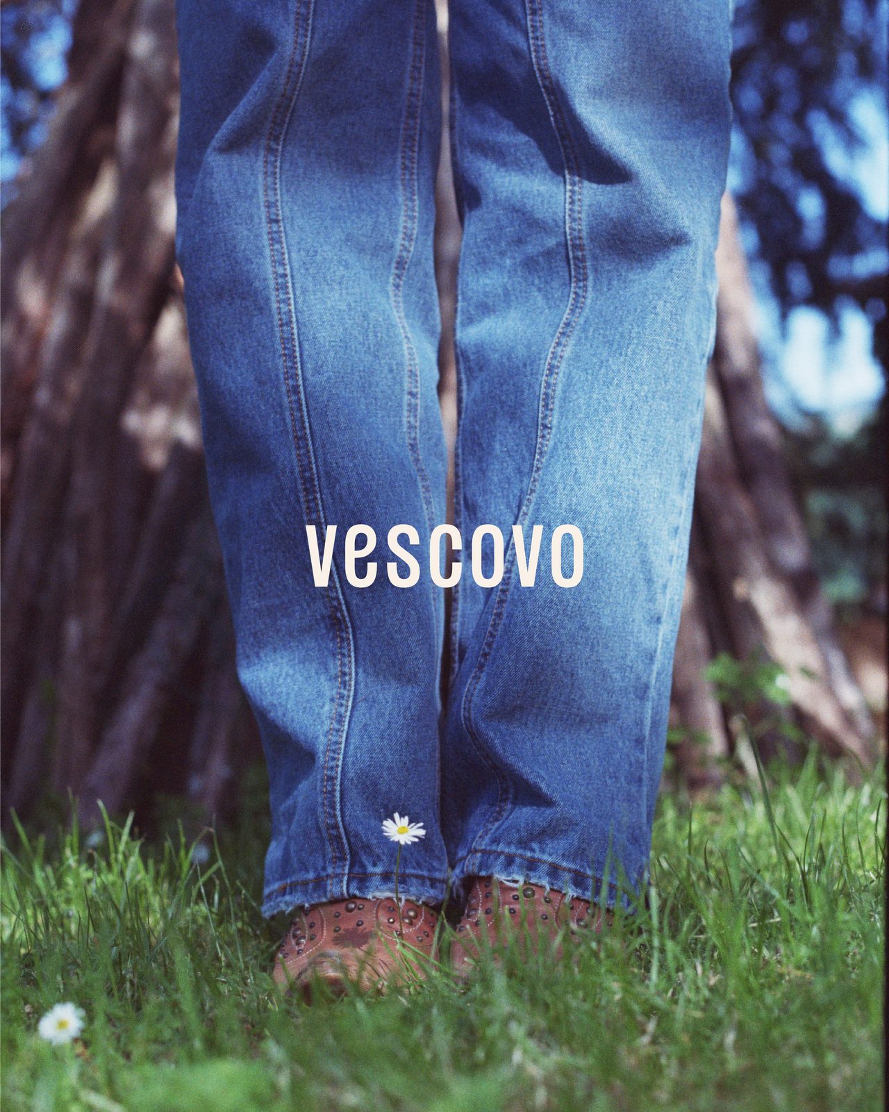 Vescovo