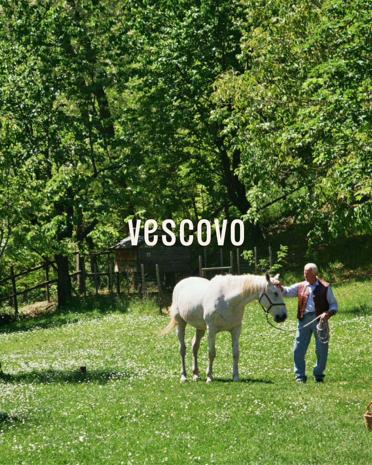 Vescovo